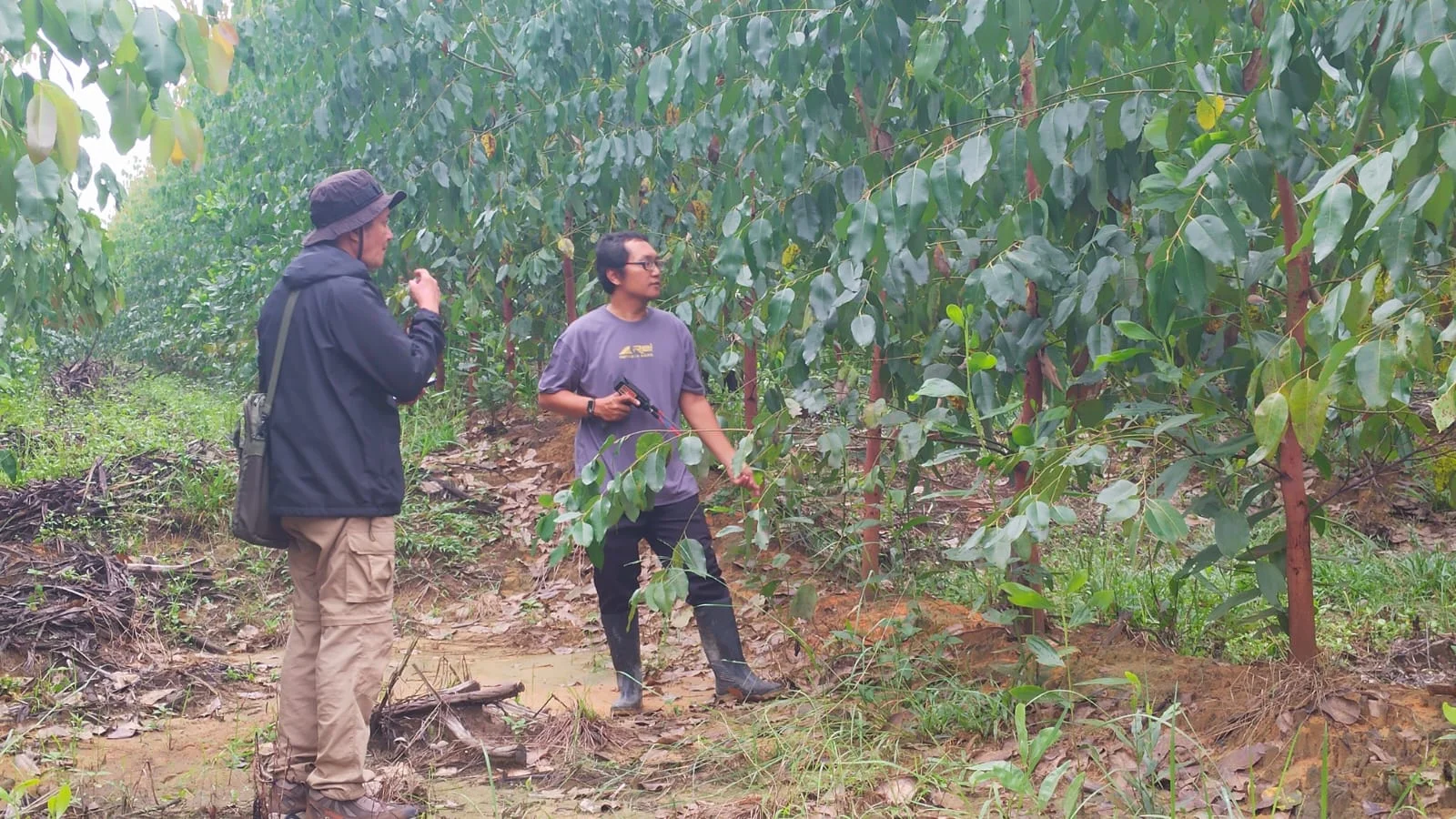 Jasa Geolistrik Bangkinang: Solusi Cermat Sebelum Bor Sumur untuk Perkebunan & Perumahan